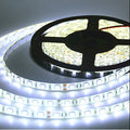 Charkee White Steady Strip Rice Lights (Pack of 1)