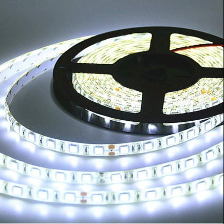 Charkee White Steady Strip Rice Lights (Pack of 1)