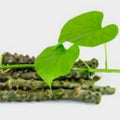 Herbal sticks with a green leaf on a white background