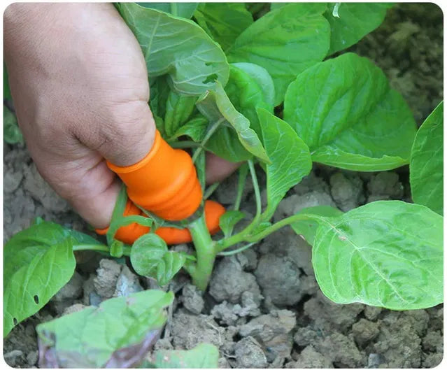 KPS Silicone Thumb Knife, Kitchen Garden Finger Cutter Tool for Quickly Cutting Vegetables Plant,  (Set of 1) - Clever Nest